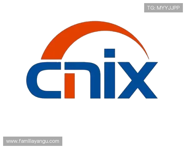 畅玩九游AG登录入口，尽享多重优惠活动带来的快乐