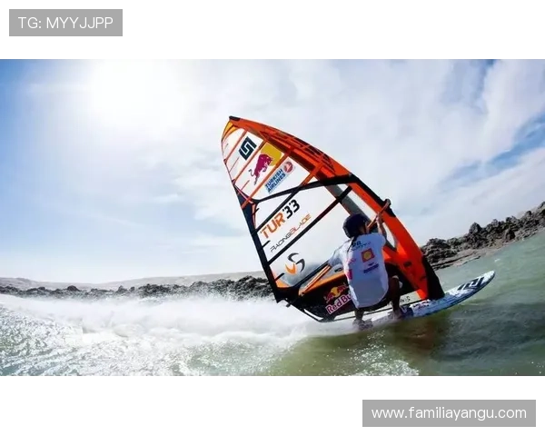 九游体育在线登录多元化体育娱乐，满足不同用户的需求