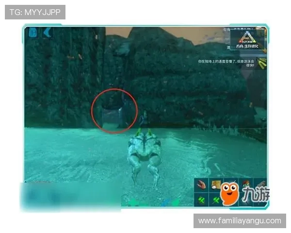 九游个人中心位置在哪，详细步骤帮助你轻松进入