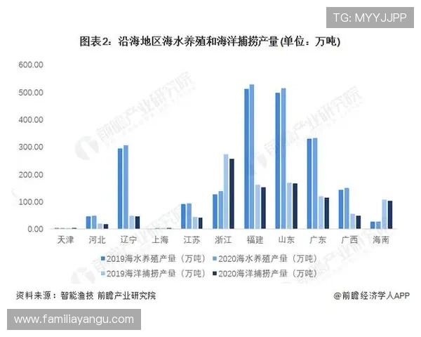 九游体育网页未来发展趋势,技术创新与功能升级的前瞻分析 九游体育网页未来发展趋势,技术创新与功能升级的前瞻分析